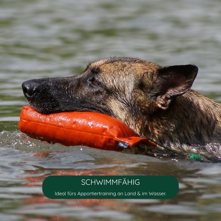 Romneys Hundetraining Dummy 500g - Robust & Schwimmfähig, Apportierprüfungen Zugelassen - Ideal für