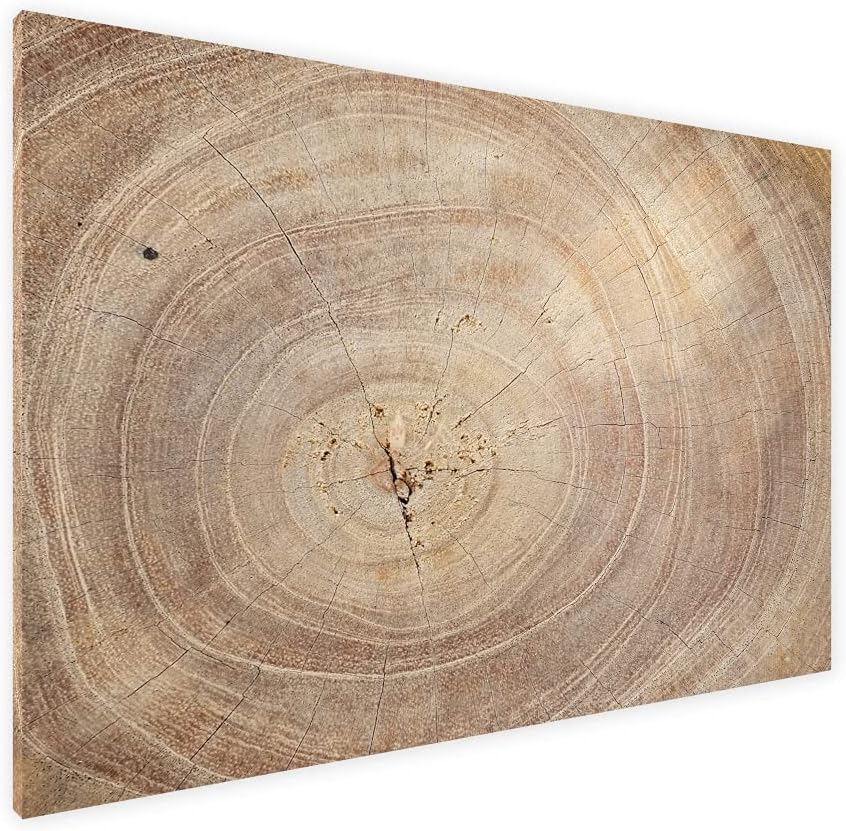 ALLboards Metallische Magnettafel BAUMSTAMM NATUR BAUMKERN 60x40cm MetalBoards Memoboard für jede Ar