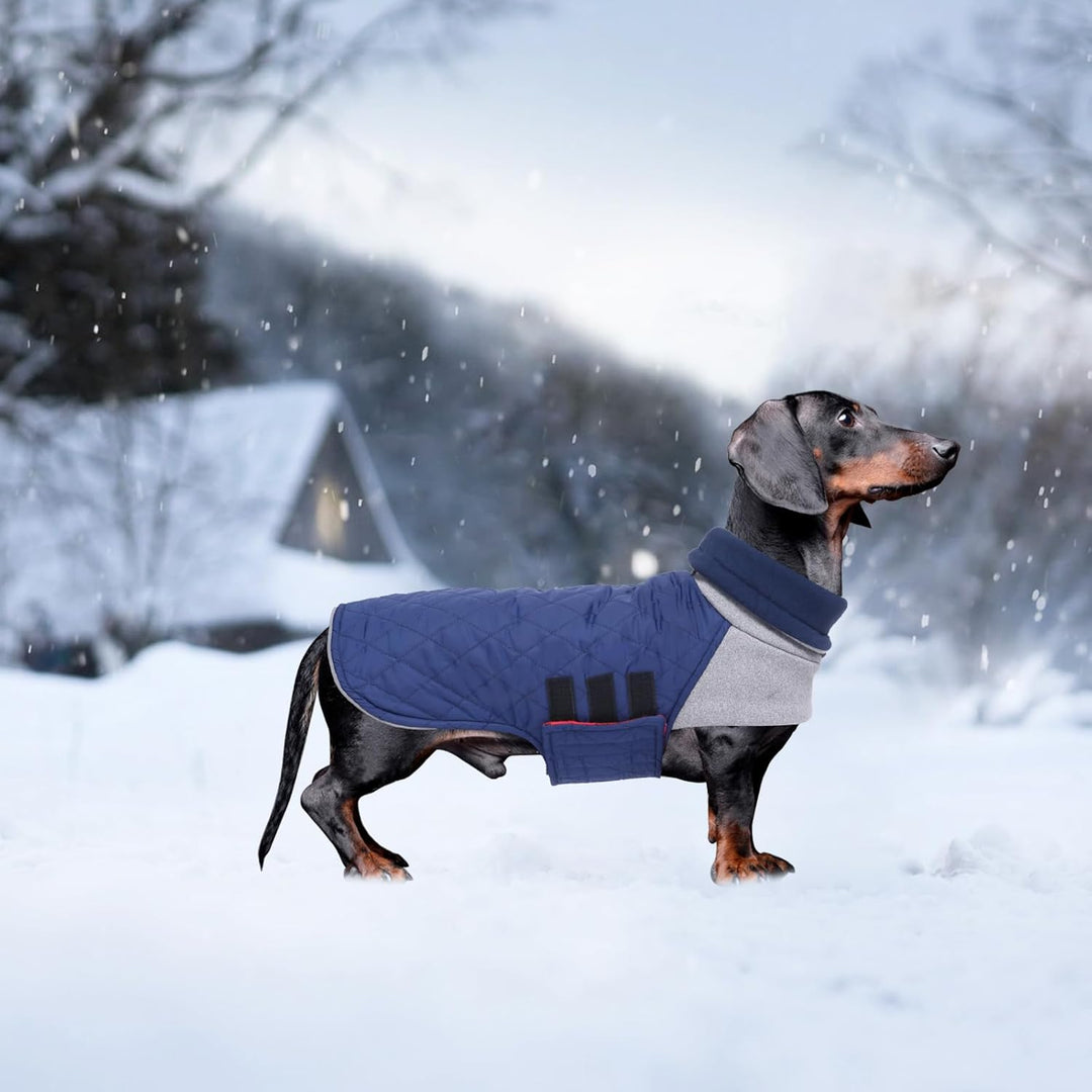 Geyecete Hundemantel Dackel, Dackel Wintermantel, Warmer Quilten Miniatur Dackelmantel mit Geschirr