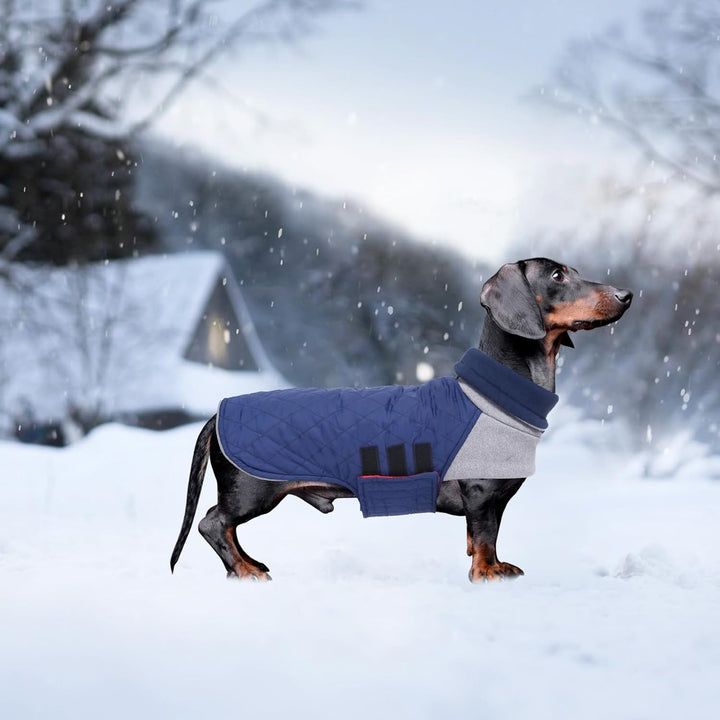 Geyecete Hundemantel Dackel, Dackel Wintermantel, Warmer Quilten Miniatur Dackelmantel mit Geschirr