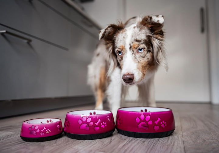 Hundenapf kleine Hunde/Hundenapf grosse Hunde/Futternapf Hund/Trinknapf Hund/S/M/L rutschfest (M 101