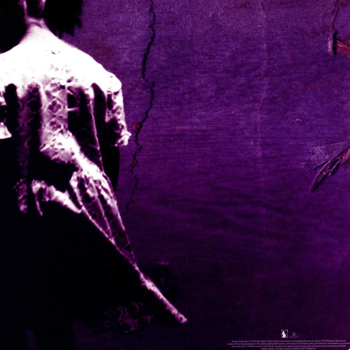 Riceboy Sleeps (Remaster), Vinyl