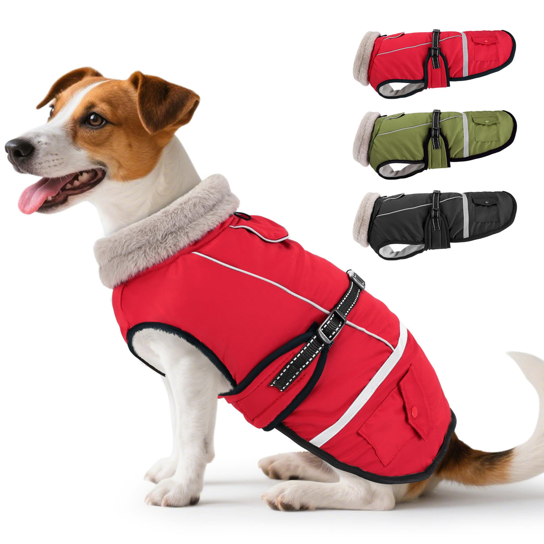 Hundemantel Winter, Hundemantel Wasserdicht für Kleine Hunde mit Verstellbaren Schultergurten, Warm