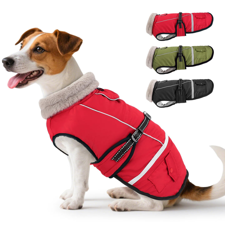 Hundemantel Winter, Hundemantel Wasserdicht für Kleine Hunde mit Verstellbaren Schultergurten, Warm