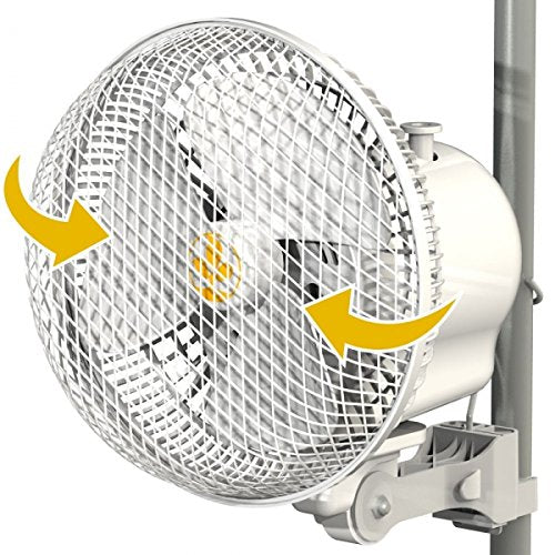 Monkey Fan Secret Jardin 20W 17 cm 2-Stufen Oscillating