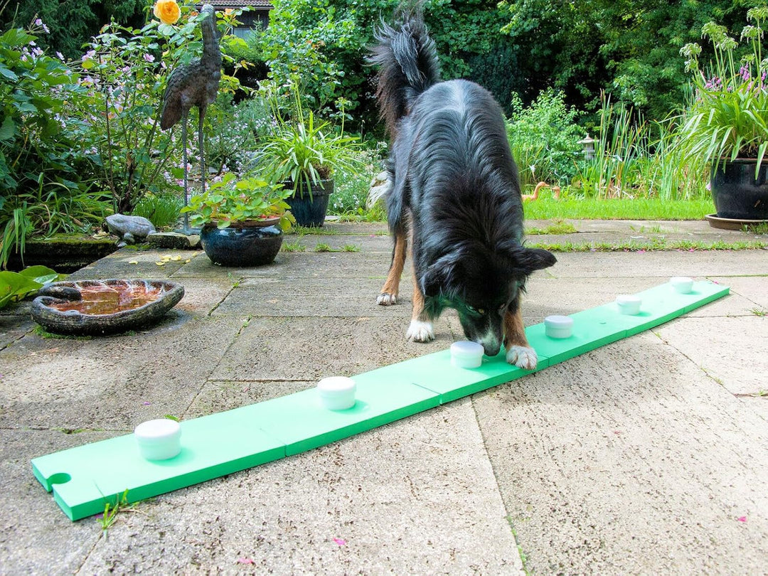 Schnüffelspass Supernasen-Set für Hunde (grosse und kleine) Hundetraining, Obedience, Hundesport, Do