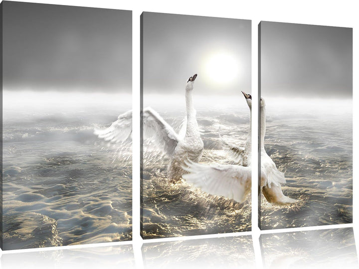 Pixxprint Schwäne im Meer als Leinwandbild/Grösse: 3 Teilig (120x80) cm/Wandbild/Kunstdruck/fertig b