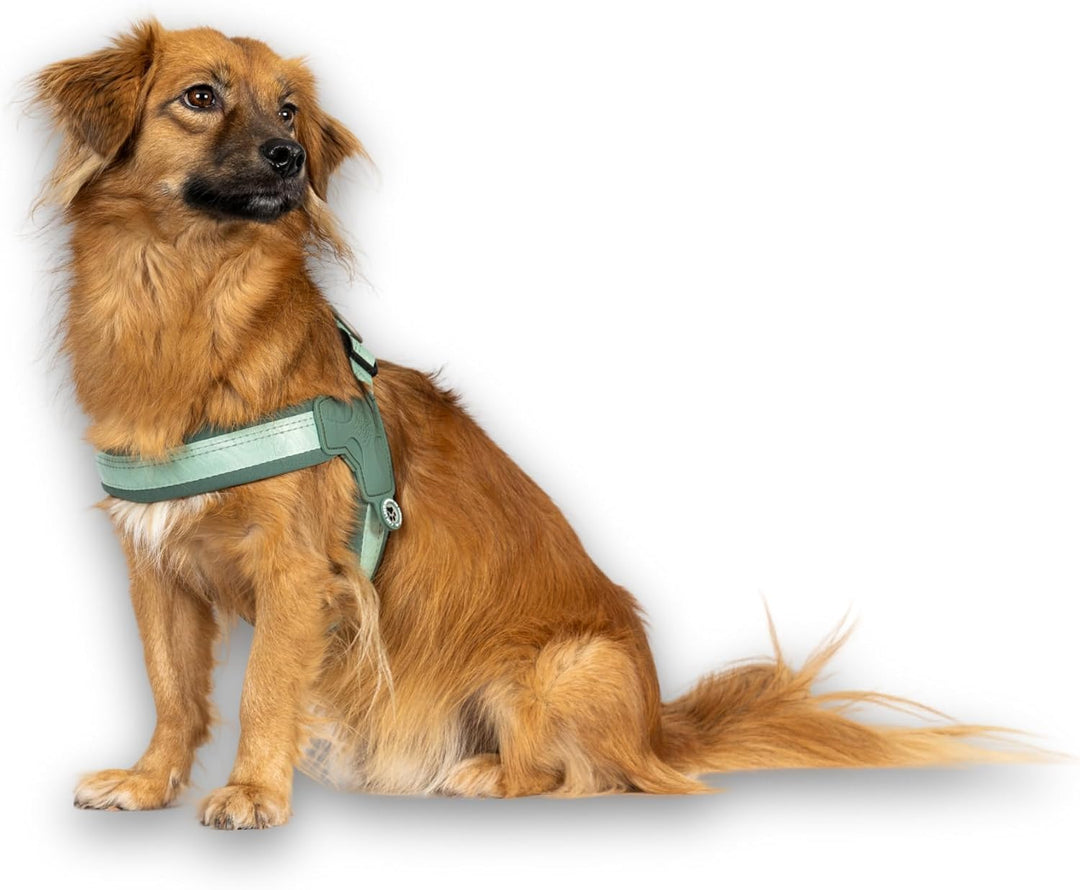 Max & Molly Q-Fit Hundegeschirr Kleine Hunde mit Gotcha! Smart ID Sicherheitsanhänger, Matrix 2.0 Ja
