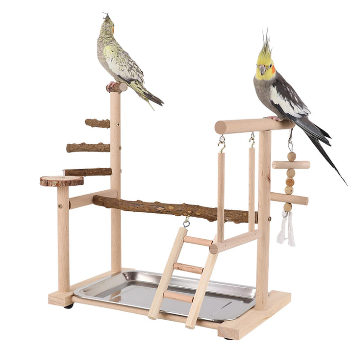 Dynaeuty Papagei Vogelspielplatz, Wellensittich Spielzeug, Parrot Playstand, Geeignet für Eclectus,