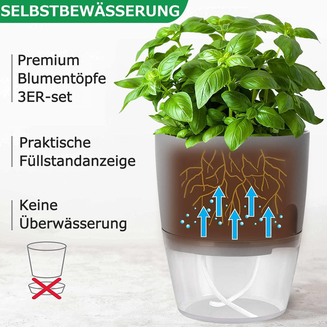 iDattel Kräutertopf Küche Set Fensterbank selbstbewässernd-3er Set Kräutergarten für die Küche,18.2X