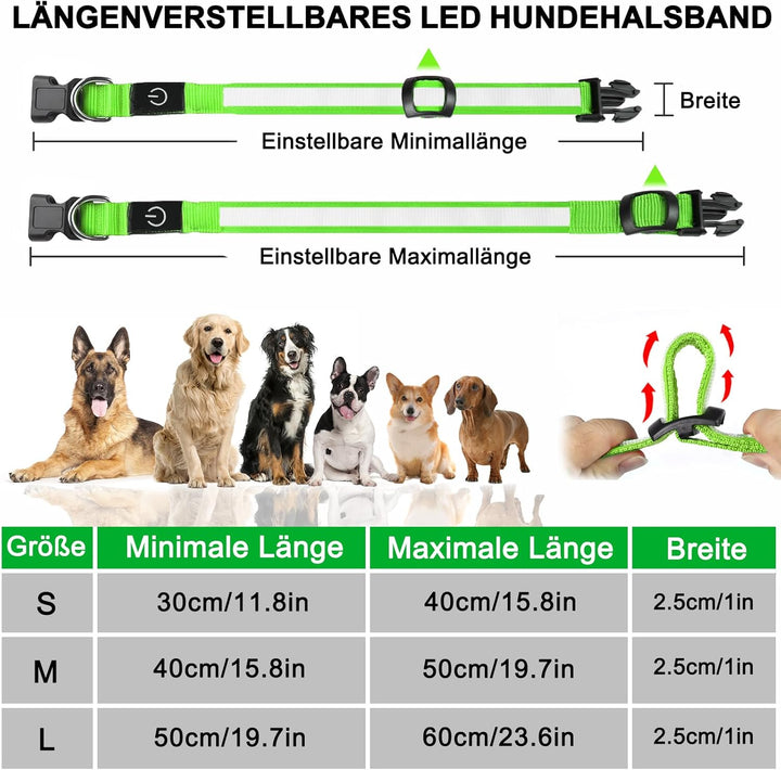 Nepfaivy Hundetreppe für Kleine Hunde 3-Stufig, Leuchthalsband Hund USB Aufladbar
