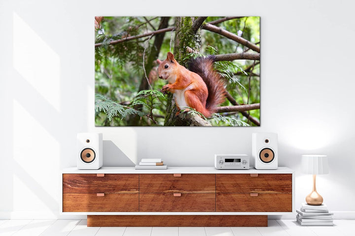 deyoli niedliches Eichhörnchen Format: 80x60 als Leinwand, Motiv fertig gerahmt auf Echtholzrahmen,