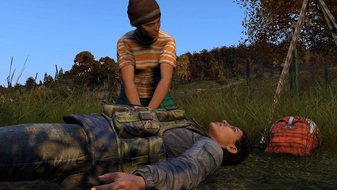 Dayz (PS4) (New)