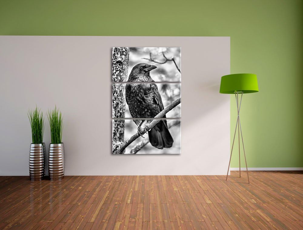 Pixxprint schwarzer Rabe auf AST als Leinwandbild/Grösse: 3 Teilig (120x80) / Wandbild/Kunstdruck/fe