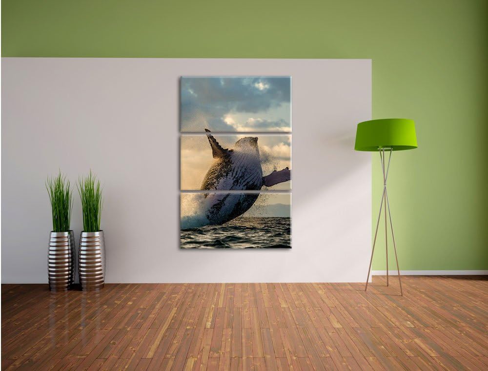 Pixxprint Buckelwale Kanada als Leinwandbild/Grösse: 3 Teilig (120x80) cm/Wandbild/Kunstdruck/fertig