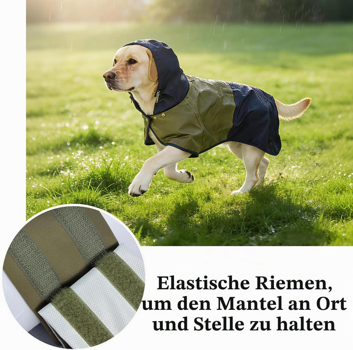 Regenmantel Hund, Regenjacke Hund wasserdicht mit Verstellbarer Kapuze &amp; elastischen Beinbändern – L