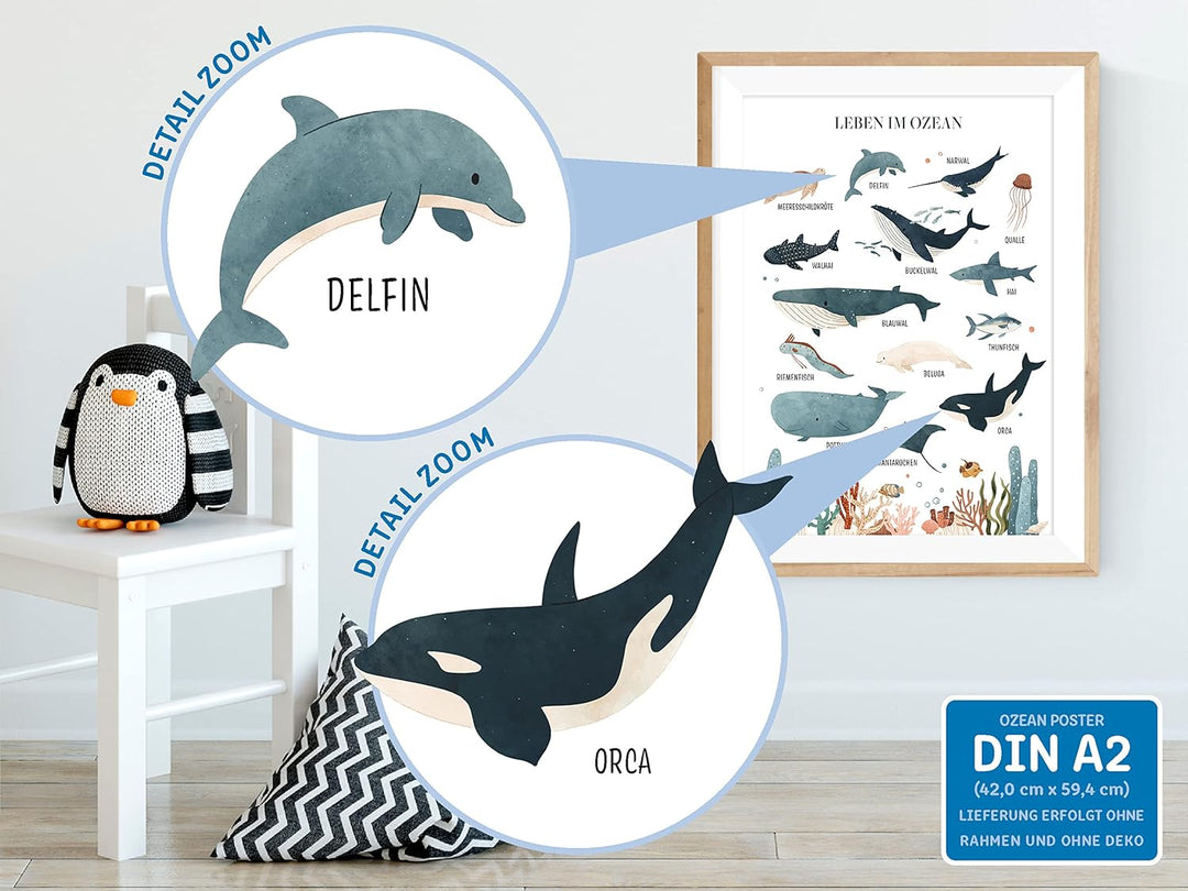 kizibi® Unterwasserwelt Lernposter für Kinderzimmer - Detailliertes DIN A2 Poster des Meeres & Ozean