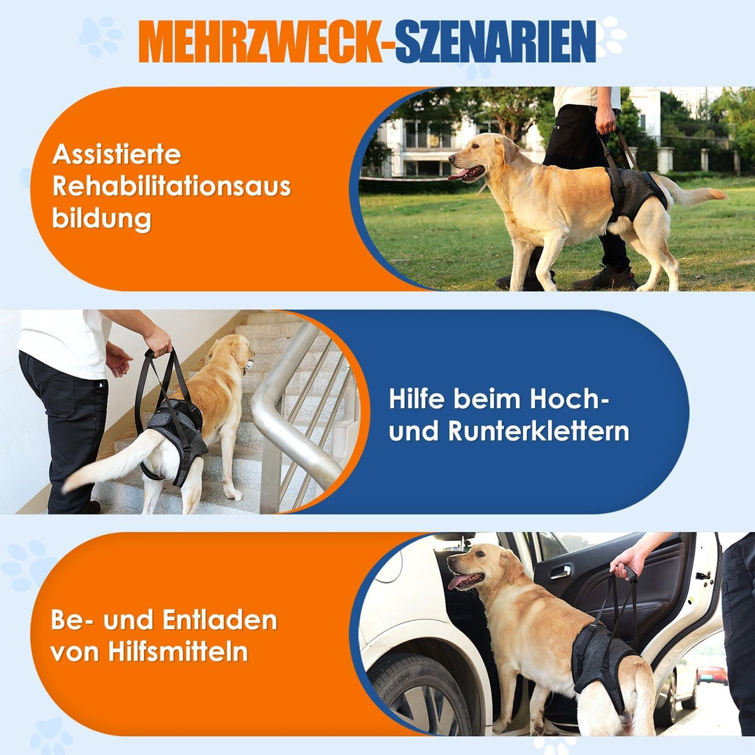 SlowTon Unterstützungsgeschirr für Hinterbeine Geschirr für mittelgrosse Hunde - Bequemes, verstellb