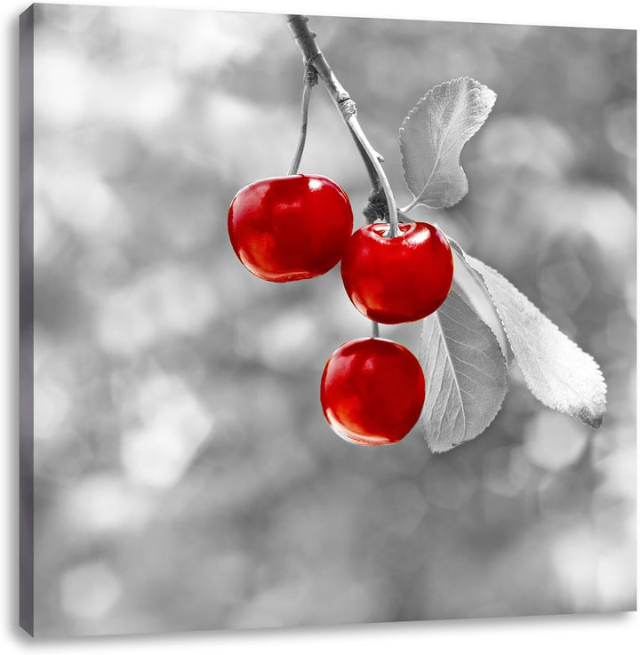 Pixxprint glänzende Kirschen am Zweig als Leinwandbild/Grösse: 70x70 cm/Wandbild/Kunstdruck/fertig b