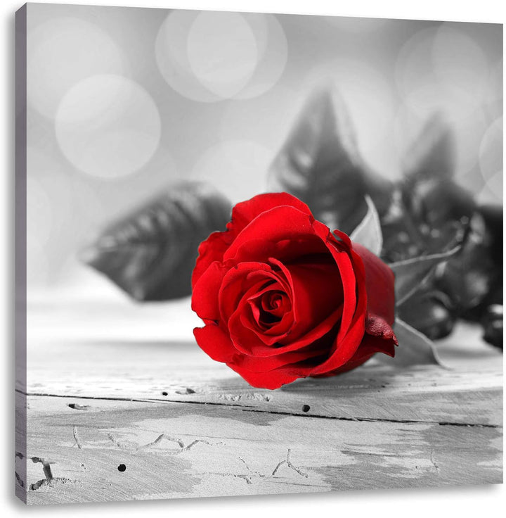 Pixxprint schöne Rose auf altem Holztisch schwarz/weiss, Format: 70x70 auf Leinwand, 70x70