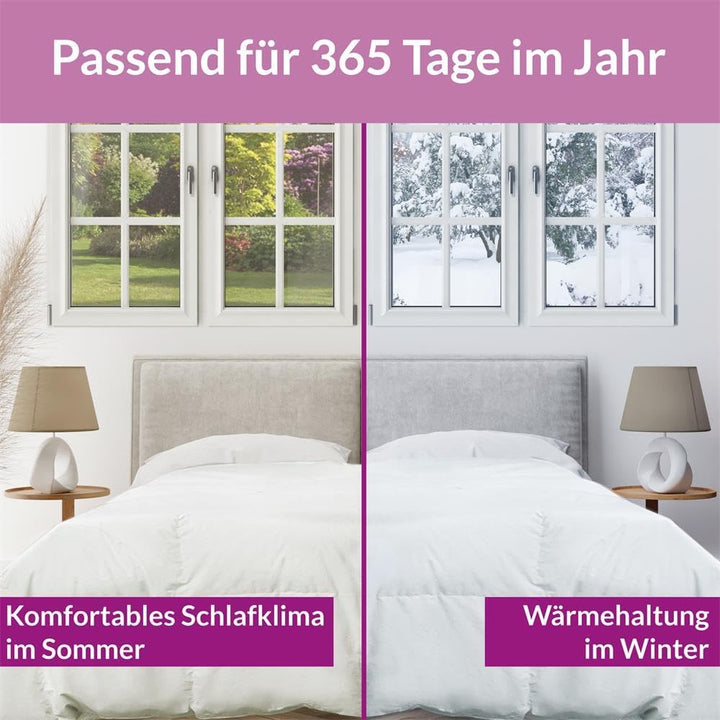 B!HOME Ganzjahresdecke 100% Daunen 220x240cm (1240g) Kassettenstegbett Bezug 100% Baumwolle Decke Ga