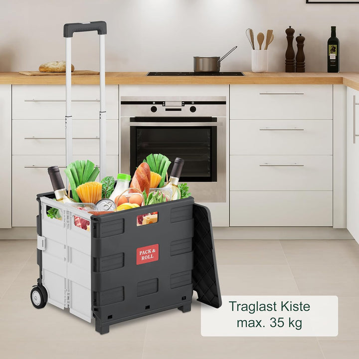 Relaxdays Einkaufstrolley, klappbar, Einkaufskorb mit Rollen, Deckel & Teleskopgriff, bis 35 kg, Rol