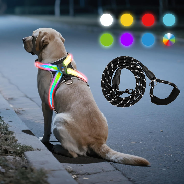 LED Hundegeschirr Set, mit 1,5m Reflektierende Hundeleine, Verstellbare Aufladbares Beleuchtetes Hun