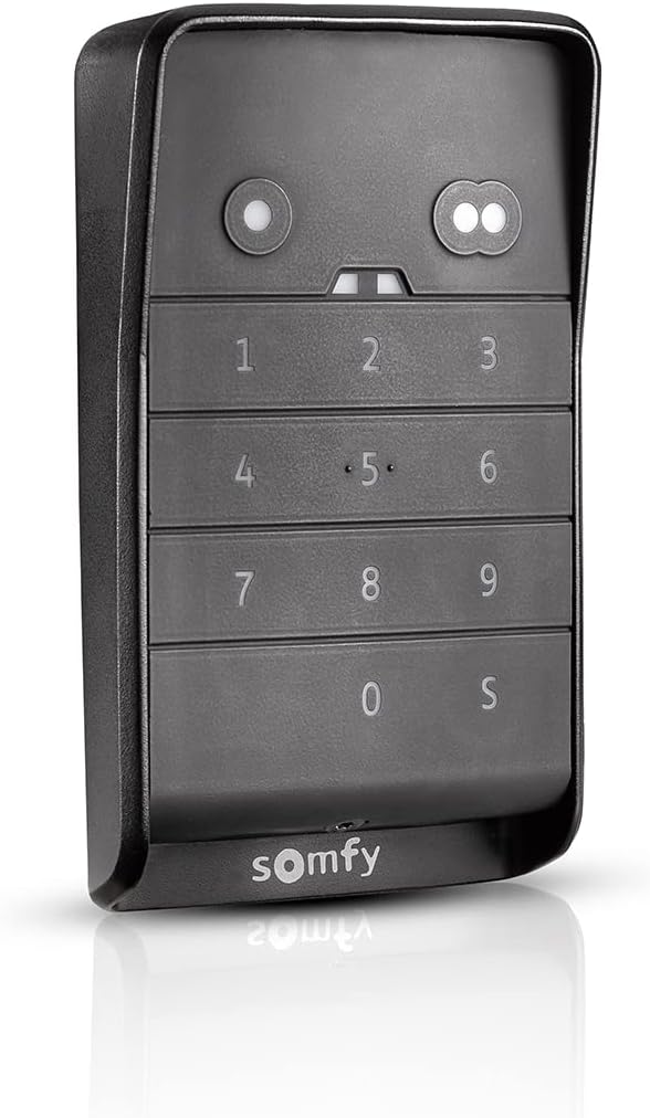 Somfy 1870916 - RTS Funkcodetaster 2 Tasten | Um einen RTS Garagen- oder Torantrieb mit einem Code z