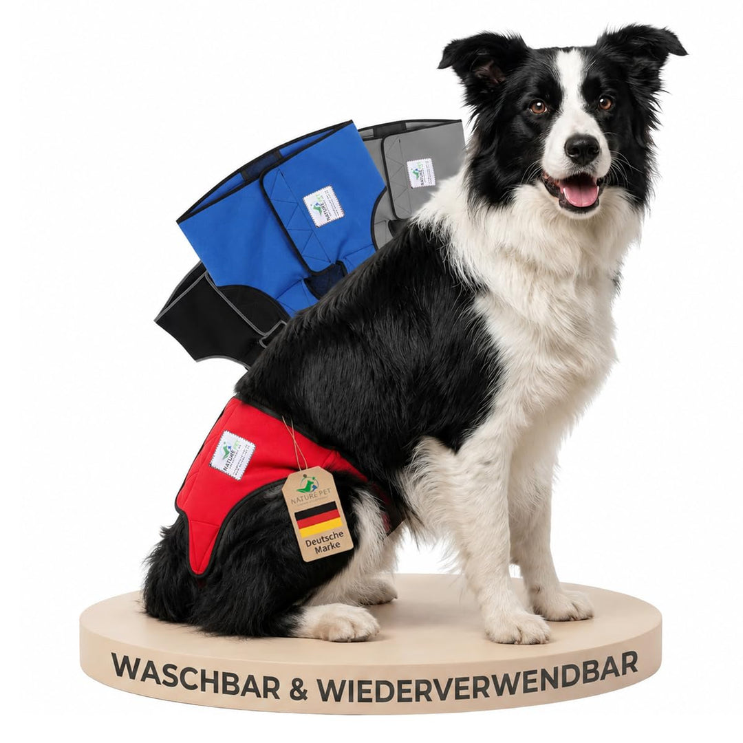 Läufigkeitshose für Hündinnen 2.0 - Hundewindeln aus hochwertigem perforiertem Neopren für einen opt
