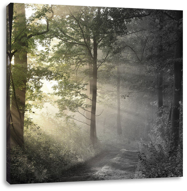 Pixxprint Waldweg im Grünen als Leinwandbild/Grösse: 70x70 cm/Wandbild/Kunstdruck/fertig bespannt, 7