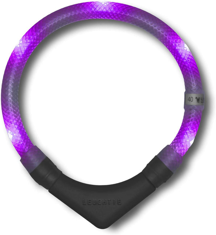 LEUCHTIE® Leuchthalsband Plus Lavendel Grösse 50 I LED Halsband für Hunde I 100 h Leuchtdauer I wass