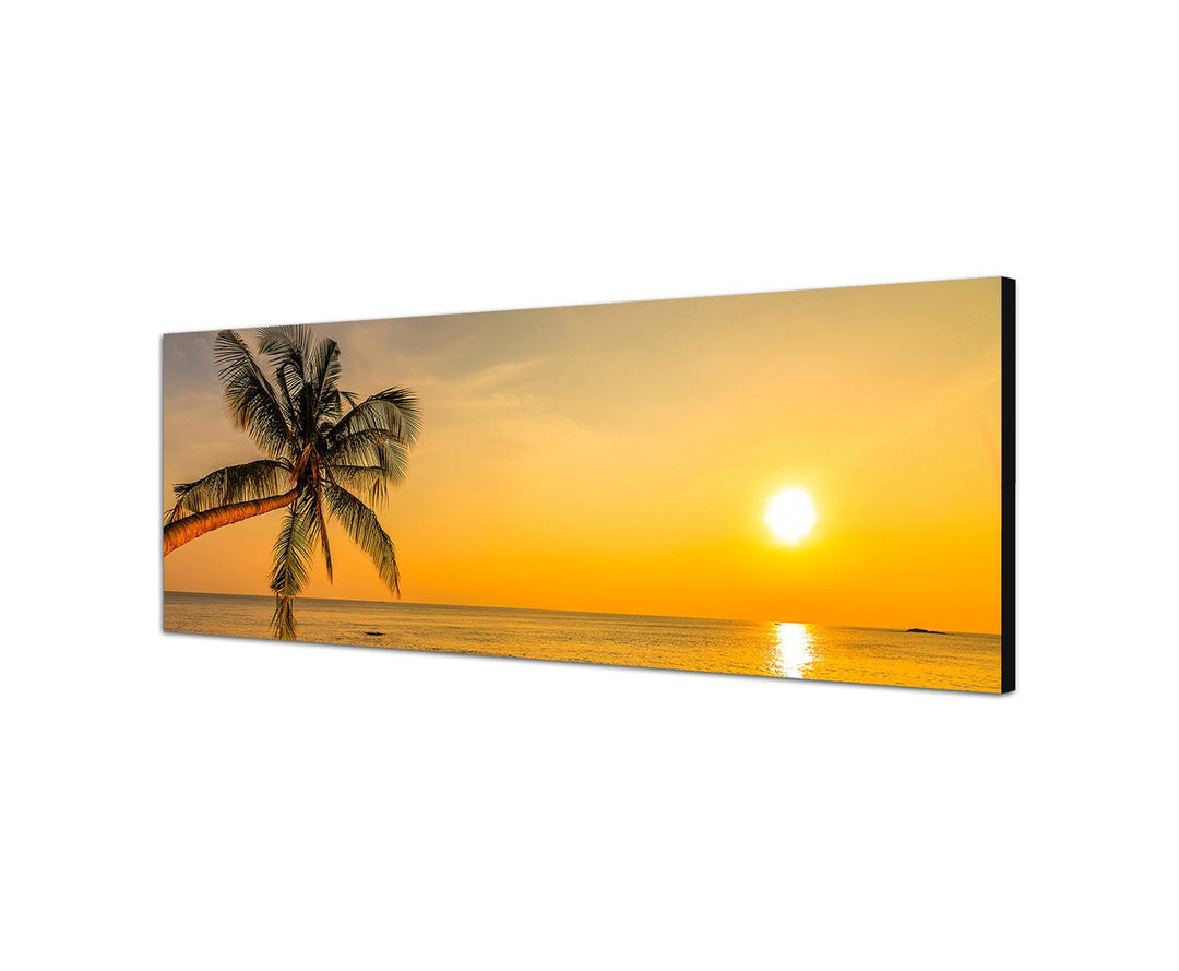 Augenblicke Wandbilder Leinwandbild als Panorama in 150x50cm Strand Meer Palme Sonnenuntergang
