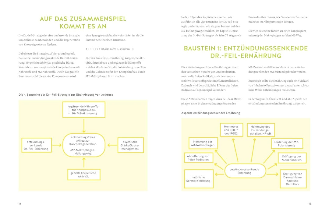Arthrose endlich heilen: Die revolutionäre Strategie zur Knorpelregeneration nach Dr. Feil, Gebunden