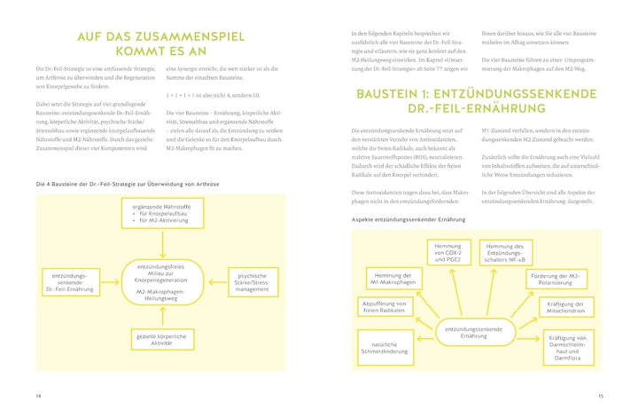 Arthrose endlich heilen: Die revolutionäre Strategie zur Knorpelregeneration nach Dr. Feil, Gebunden