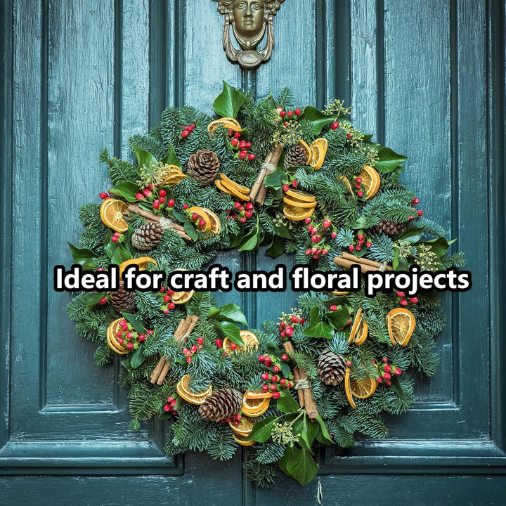Draht Edelstahl,Edelstahldraht φ2.0mm 50 M,Draht,Edelstahl Draht,Draht,Basteldraht,Draht Zum Basteln
