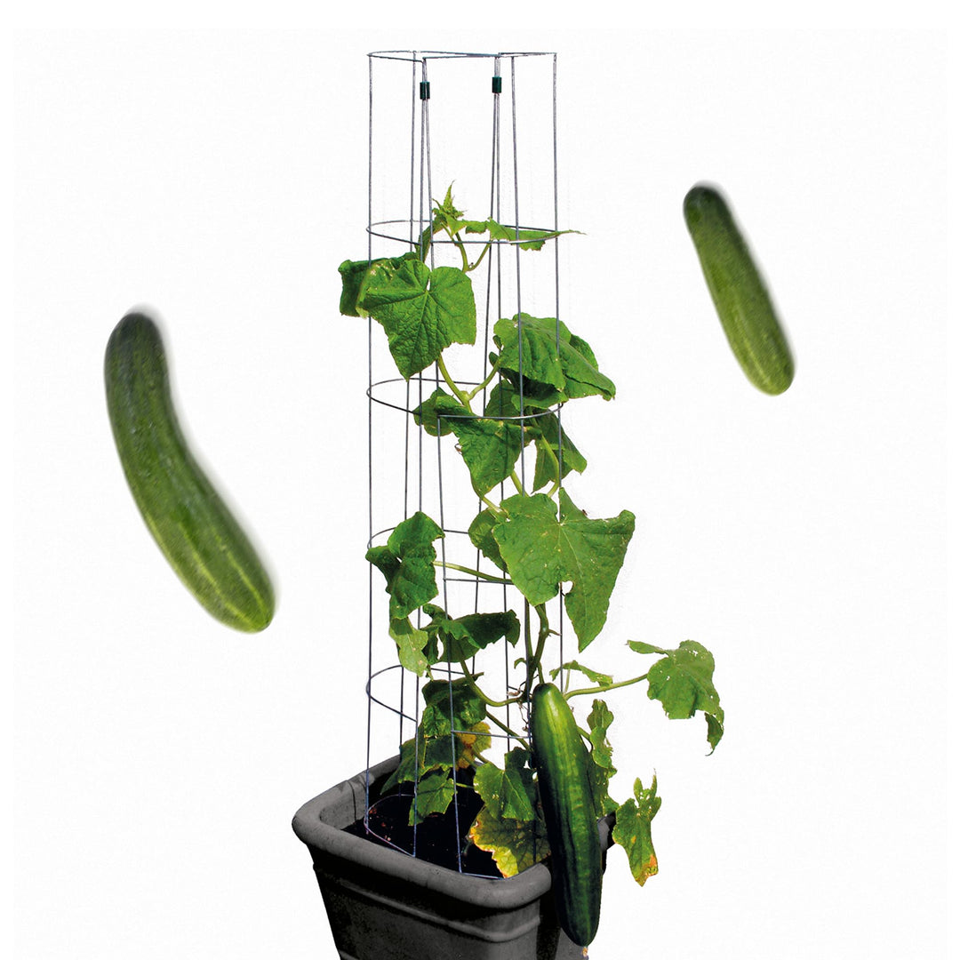 bellissa – Gurken-Rankhilfe aus Stahl einzeln 120cm verzinkt – Gurkenturm Rankgitter für Tomaten, Gu