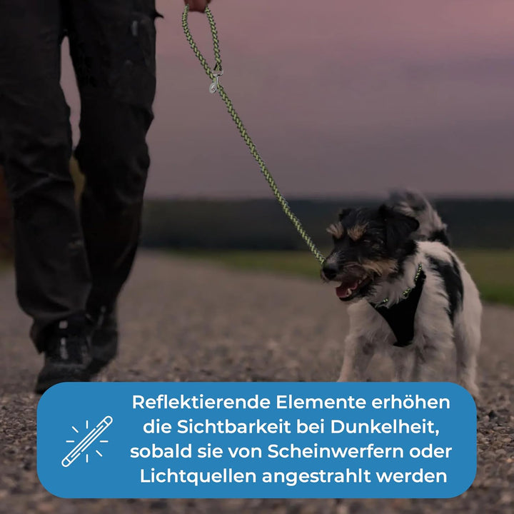 Testnote: Sehr gut - Hundeleine reflektierend I 2m, verstellbar, wetterfest & reissfest bis 250 kg I
