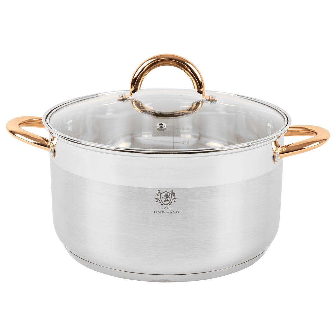 Kochtopf Induktion - 6L - Ø 26 cm - Edelstahl Topf mit Deckel für alle Herdarten Geeignet - Induktio