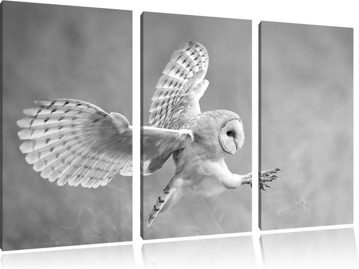 Pixxprint Fliegende Eule bei der Jagd als Leinwandbild/Grösse: 3 Teilig (120x80 cm) cm/Wandbild/Kuns