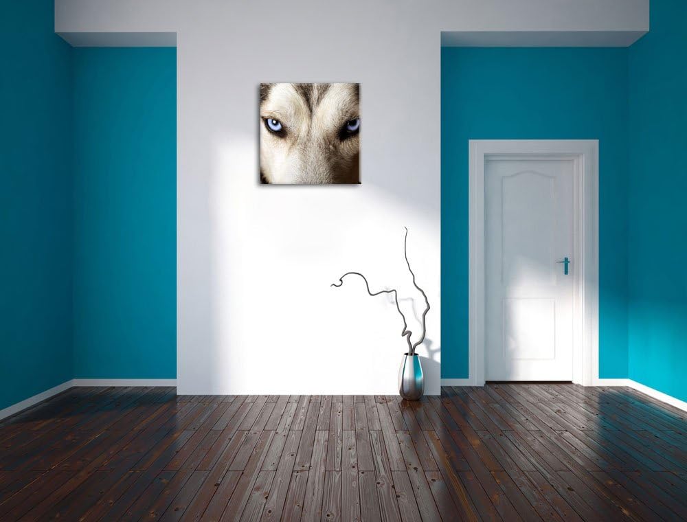 Husky eisblaue Augen, Format: 70x70 auf Leinwand, XXL riesige Bilder fertig gerahmt mit Keilrahmen,