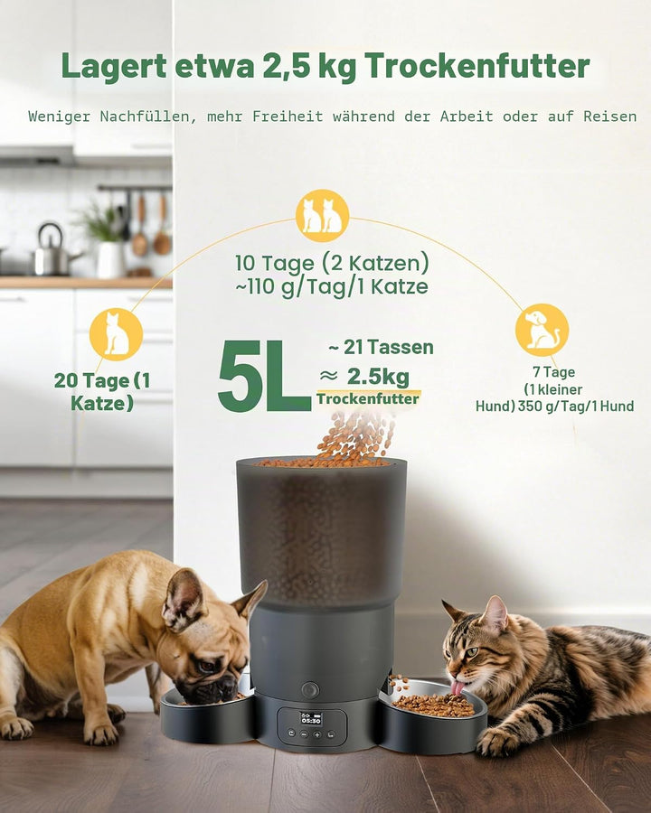 Gimars 5L Futterautomat Katze 2 Näpfe mit LCD-Anzeige Einfache Einrichtung, Programmierbar für 1–6 M