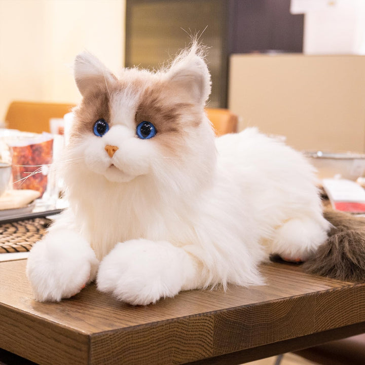 Chongker Interaktive Ragdoll Katze, Realistische Plüschkatze mit Miauen, Schnurren und Herzschlag, B