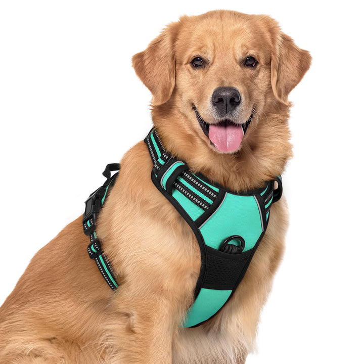 rabbitgoo Hundegeschirr Mittelgrosse Hunde, Anti Zug Geschirr mit Kontrolle, No Pull Verstellbar Hun