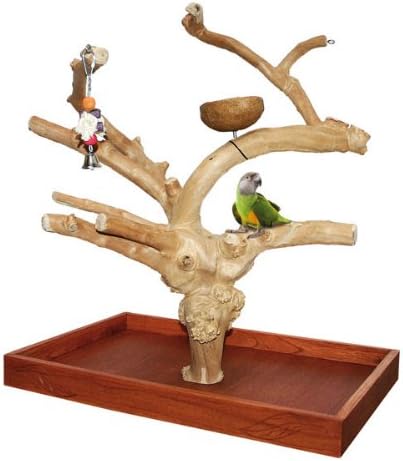 Java | Java Tree Tischfreisitz aus Kaffeeholz für Grosssittiche &amp; Papageien