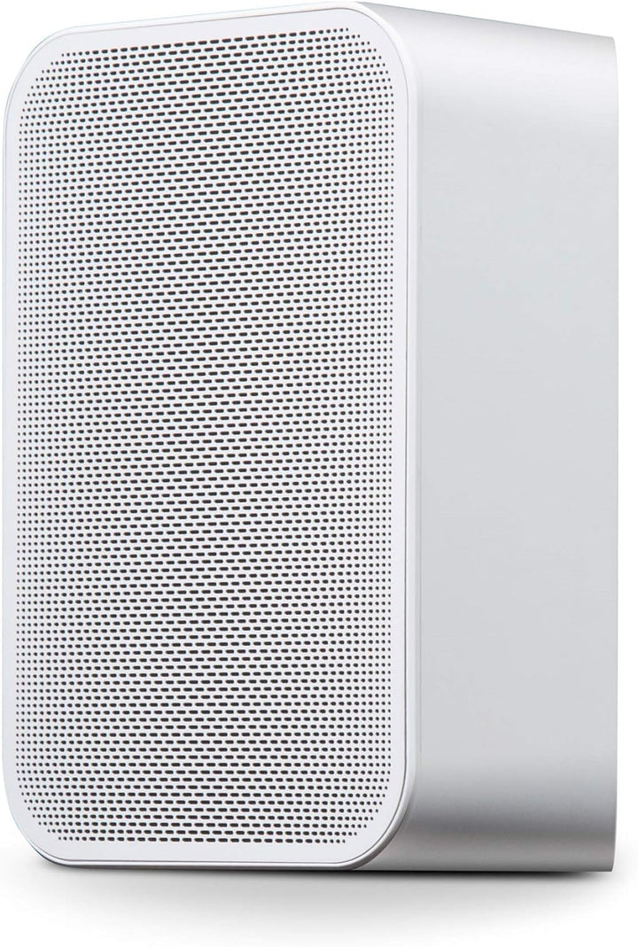 Bluesound Pulse Flex 2i tragbarer kabelloser Streaming-Lautsprecher - Weiss White, White