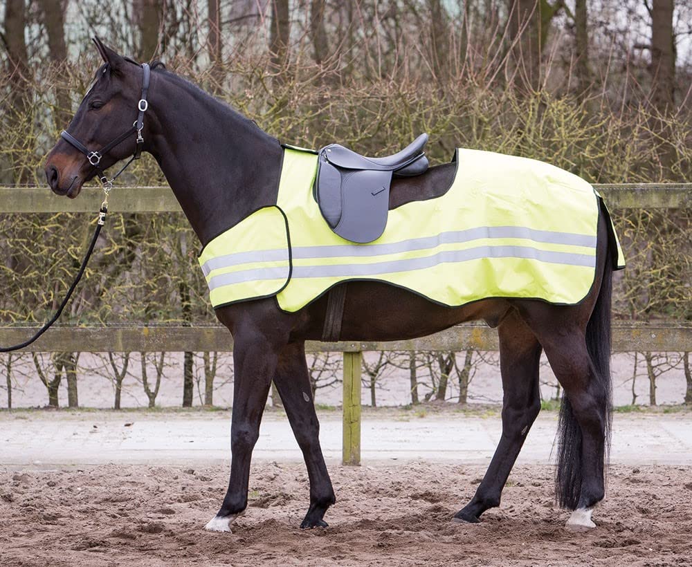 Harry's Horse Ausreitdecke Reflective, Grösse:M, M