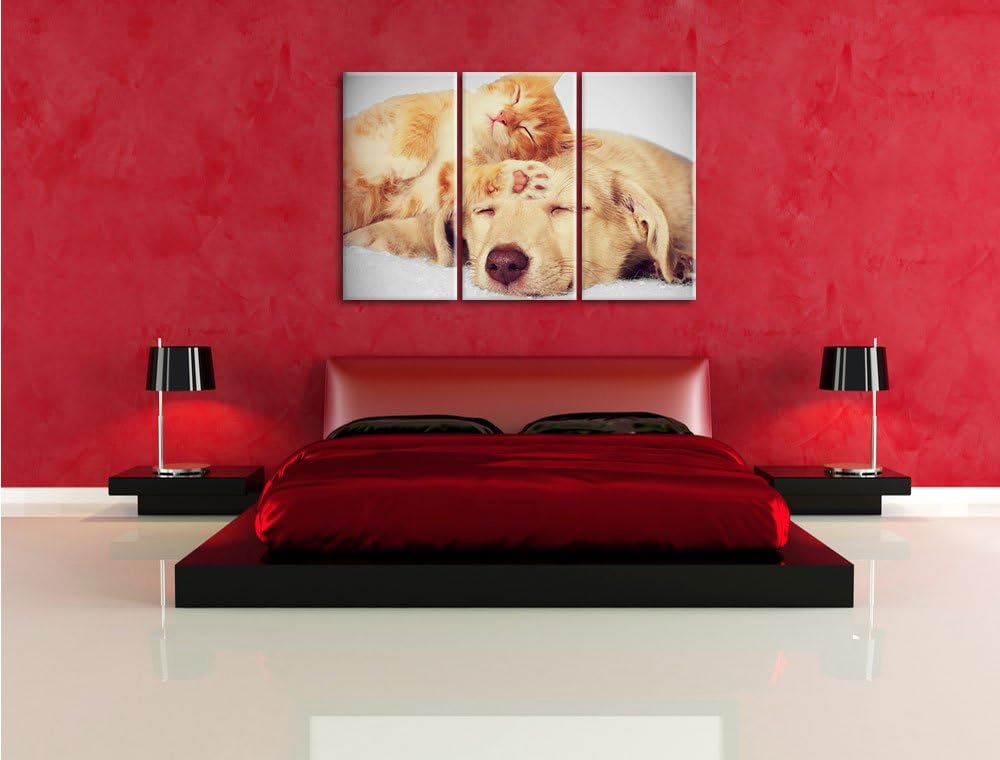 Pixxprint Kätzchen und Welpe schlafen B&W Detail 3-Teiler Leinwandbild 120x80 Bild auf Leinwand
