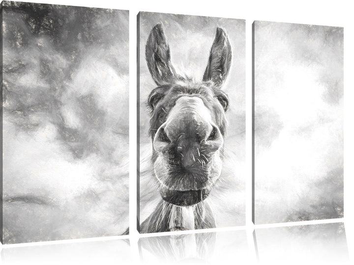 Pixxprint Lustiger Esel Kunst als Leinwandbild | Grösse: 3 Teilig (120x80) | Wandbild| Kunstdruck |