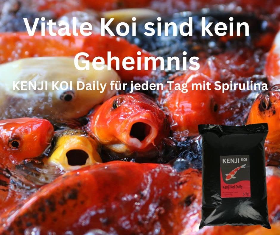KENJI KOI Daily Food 5kg 6mm - Koifutter für die ganze Saison mit SPIRULINA | Alleinfutter für Koi |