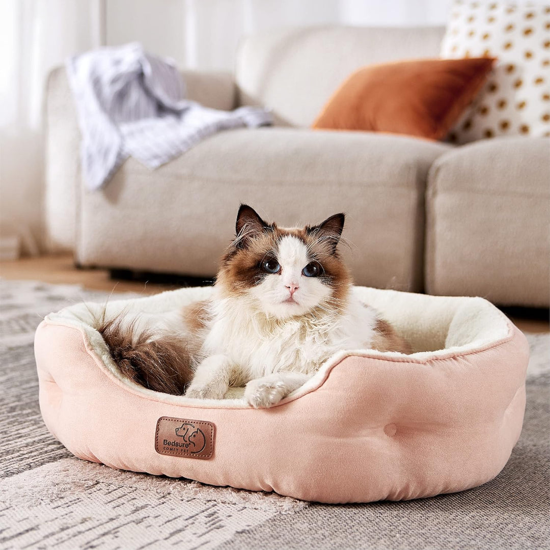 BEDSURE Katzenbett waschbar Katzen Bettchen - 51x48x15cm Katzenkorb mit zweiseitig Innenkissen Katze